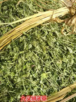 Chinese herbal medicine Wild nine-headed lion grass, bone grass, long grass, soil fine grass, tuberculosis grass, evergreen 500g