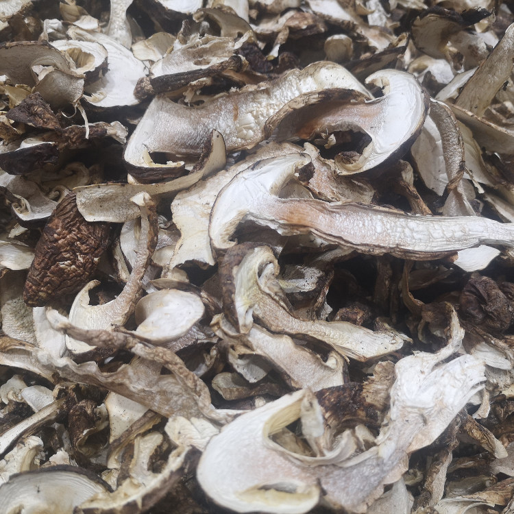 100 gr Shunfeng pine and dried goods Tibetan Lingzhi pure wild pine and furry dried slices dried and dried