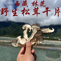 100g for only 160 yuan in 2024 Matsutake pure wild matsutake from Linzhi Tibet dried matsutake slices