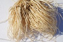 Yunnan fresh vegetables skimmed root of cabbage root large leek root cold good dishes can be pickled 500g fresh sparse vegetables