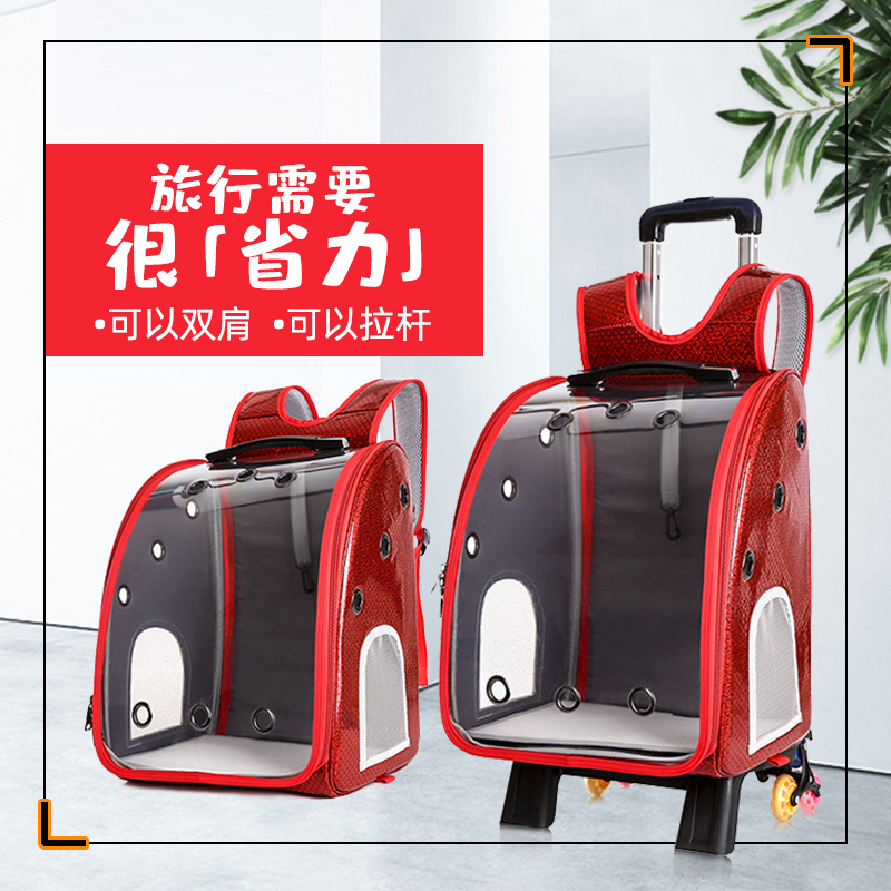 Pets Pull-Lever Boxes Go Out Portable Panorama Transparent Cat Bag Porous Breathable Hand Double Shoulder Bag Pooch Bag Supplies