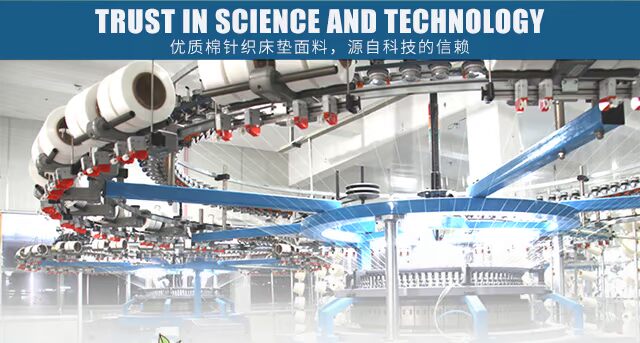 Trẻ em nệm mat xơ dừa tự nhiên 1,2 m nâu dừa một phần một mét hai mủ cọ tùy chỉnh - Nệm nệm 1m6