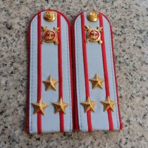 The colonel of the Russian Ministry of Interior contains a button shoulder card