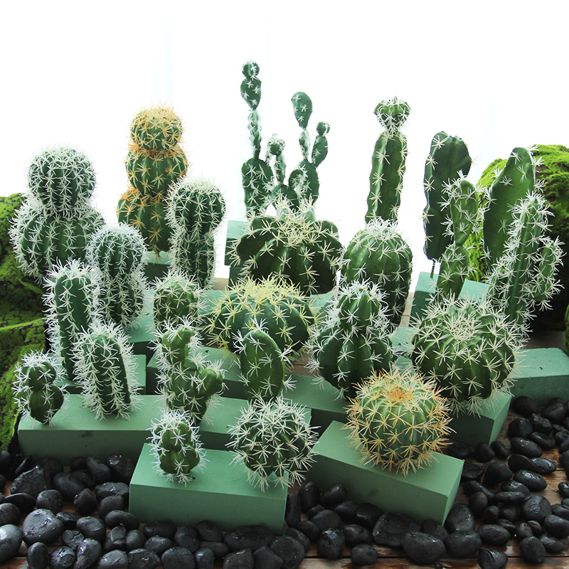 INS Nordic decorative cactus simulation tropical desert element plant fake succulent desktop flower pot design landscaping