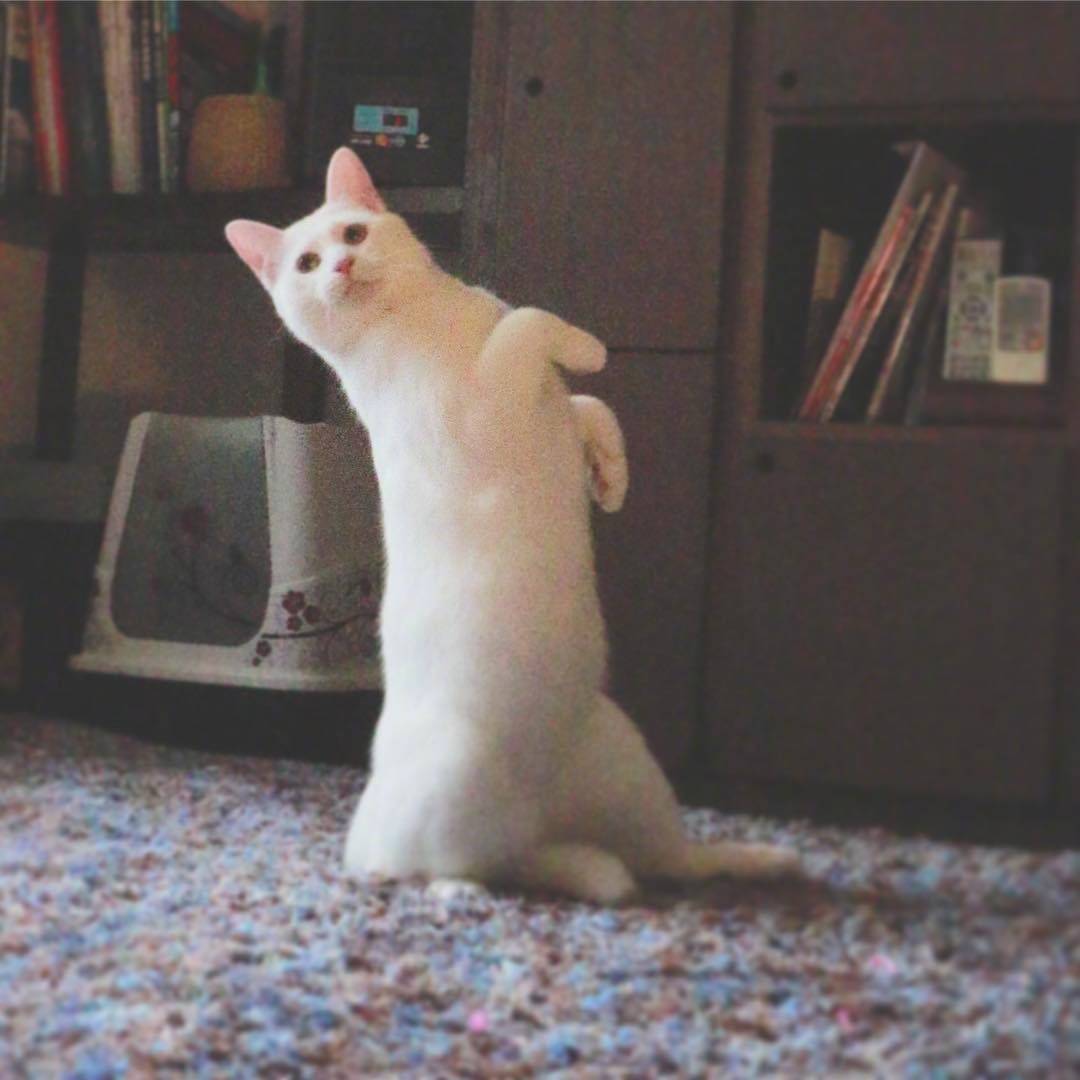 I am the one who is the mighty. 