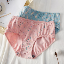 MsShe2022 new big code new medium-high waist comfort pro-skin little deer crushed graphene lady triangle pants