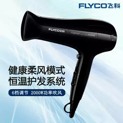 Hair dryer high-power male and female hair salon shop hair dryer student dormitory dormitory dormitory home does not hurt hair