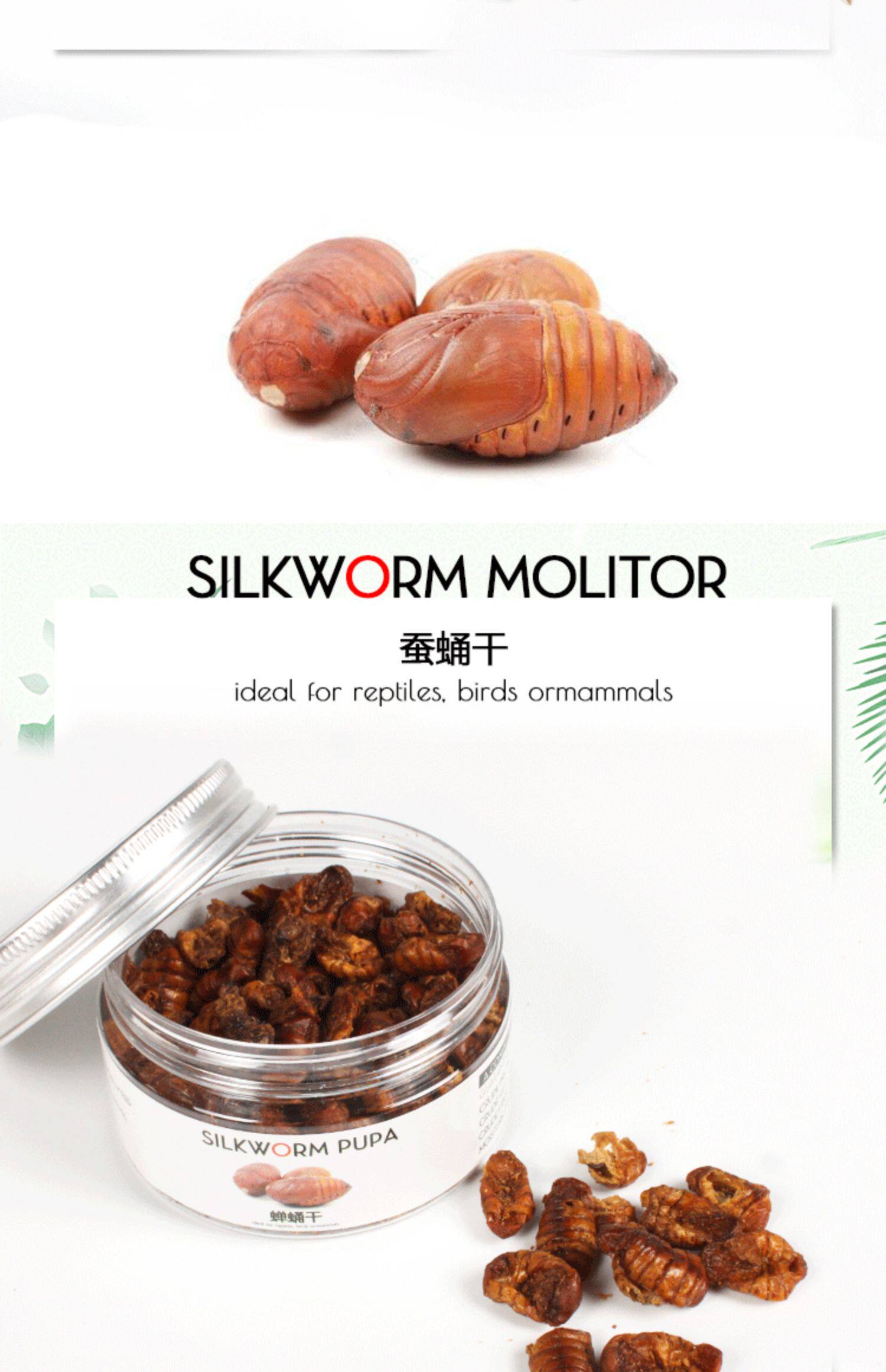 Насекомое питания рептилий/мин 保鲜冻干面包虫蟋蟀爬虫守宫蜥蜴仓鼠龙鱼刺猬食物乌龟非活体饲料