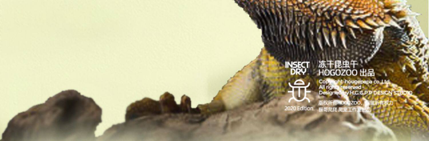 Насекомое питания рептилий/мин 保鲜冻干面包虫蟋蟀爬虫守宫蜥蜴仓鼠龙鱼刺猬食物乌龟非活体饲料