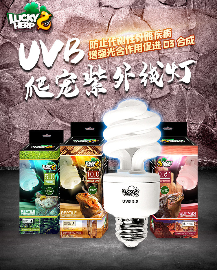 Аксессуары для рептилии 高反射爬宠加热罩陶瓷灯鬃狮蜥冬天晒背灯保温防烫uvb高深桶套餐 7541358028