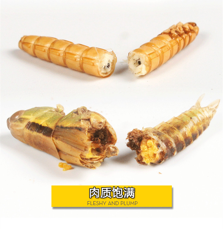 Насекомое питания рептилий/мин 保鲜冻干面包虫蟋蟀爬虫守宫蜥蜴仓鼠龙鱼刺猬食物乌龟非活体饲料