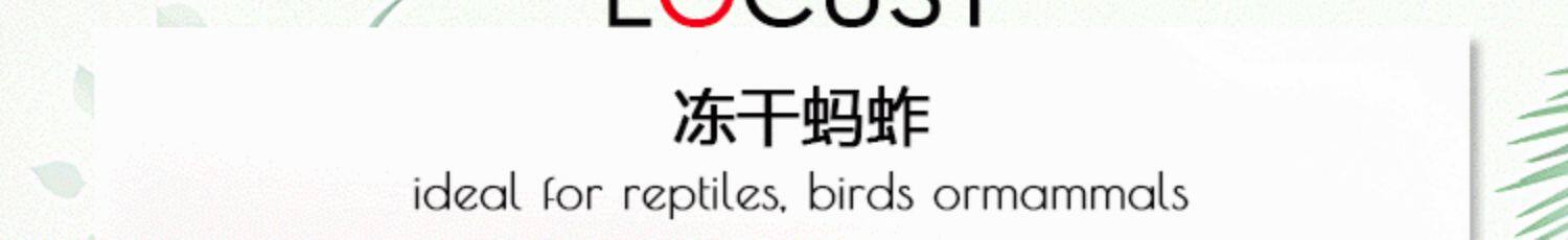 Насекомое питания рептилий/мин 保鲜冻干面包虫蟋蟀爬虫守宫蜥蜴仓鼠龙鱼刺猬食物乌龟非活体饲料