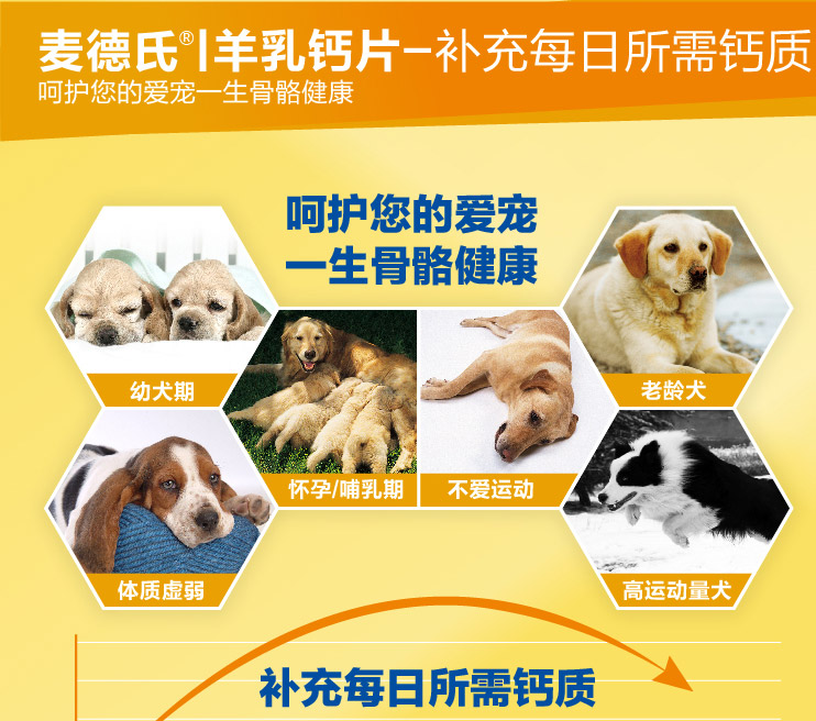 Maizis dê sữa canxi 150 viên chó mèo sức khỏe nói chung xương bổ sung canxi sản phẩm sức khỏe chó con mang thai bổ sung canxi bio milk cho mèo