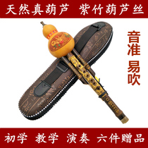 Natural Purple Bamboo cucurbit c down B G F tune F tune F tune instrument beginner students adult professional julusi