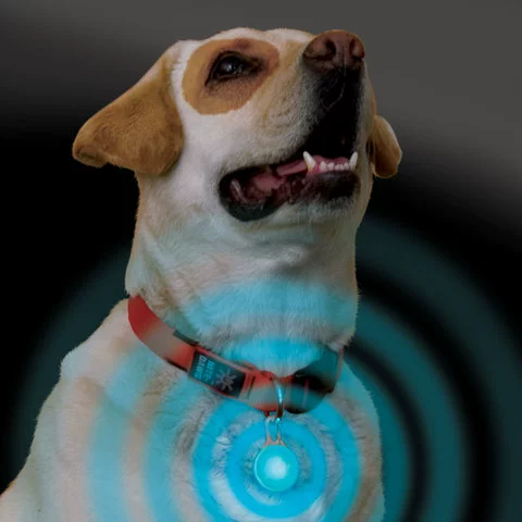 Spot Special Price Nite Ze/American Naiai Spotlit Multi -Function Penden Light Fastener