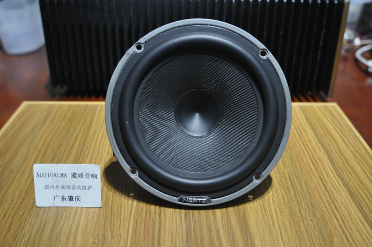 Speaker Repair - German Hertz Hv165 Woofer