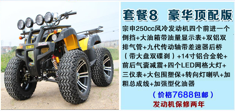 Lớn và nhỏ bull bãi biển trục ổ đĩa bốn bánh off-road xe máy Zongshen làm mát bằng nước điện sa mạc xe máy snowmobile