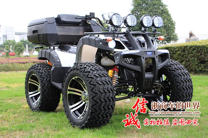 Lớn và nhỏ bull bãi biển trục ổ đĩa bốn bánh off-road xe máy Zongshen làm mát bằng nước điện sa mạc xe máy snowmobile