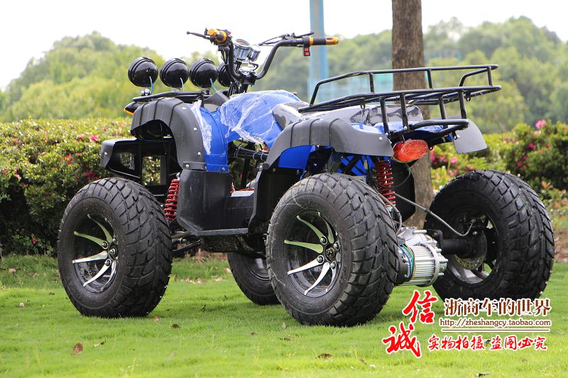 Lớn và nhỏ bull bãi biển trục ổ đĩa bốn bánh off-road xe máy Zongshen làm mát bằng nước điện sa mạc xe máy snowmobile