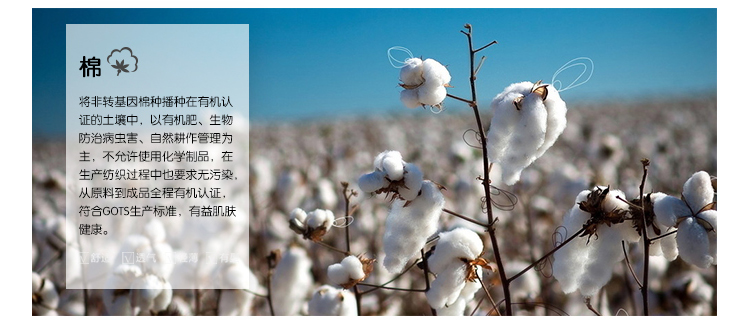 Chaussettes - collants mouvement - Ref 753957 Image 10