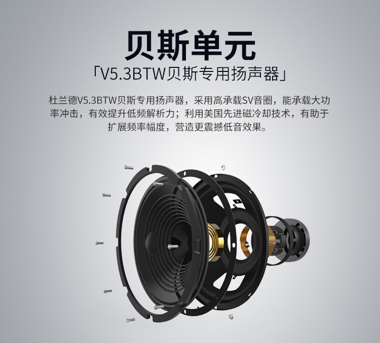 Durand LB100WII thế hệ thứ hai loa bass điện hiệu suất diễn tập ban nhạc loa trong nhà và ngoài trời - Loa loa loa trầm