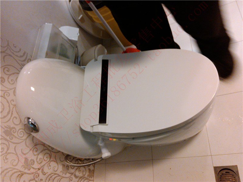 Hecheng Bathroom HCG I love to wash computer silent slow-down toilet cover Smart toilet cover AF649CH instant heat type