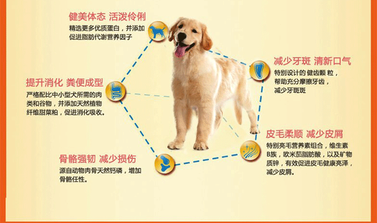 Thức ăn cho chó tự nhiên Long Yi 20kg40 kg Jinmao Labrador Satsu chó lớn và nhỏ chó con chó trưởng thành đa năng - Chó Staples thức an cho chó bao 20kg giá rẻ