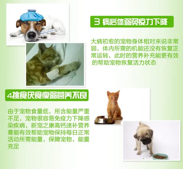 Vật nuôi mới Kang mèo và chó cao canxi bổ sung kem canxi vitamin điều hòa dạ dày để cải thiện khả năng miễn dịch - Cat / Dog Health bổ sung sữa cho chó uống	
