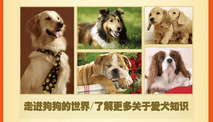 Thức ăn cho chó tự nhiên Long Yi 20kg40 kg Jinmao Labrador Satsu chó lớn và nhỏ chó con chó trưởng thành đa năng - Chó Staples thức an cho chó bao 20kg giá rẻ