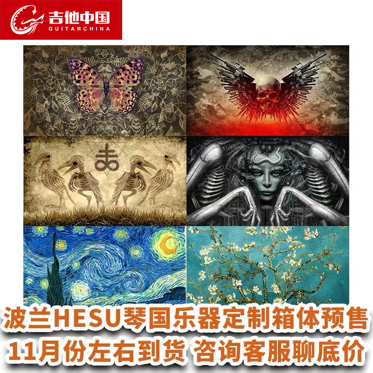 Guitar China Hesu Poland handmade W112 W112 M212 M412 M412 electric guitar case sound box sound