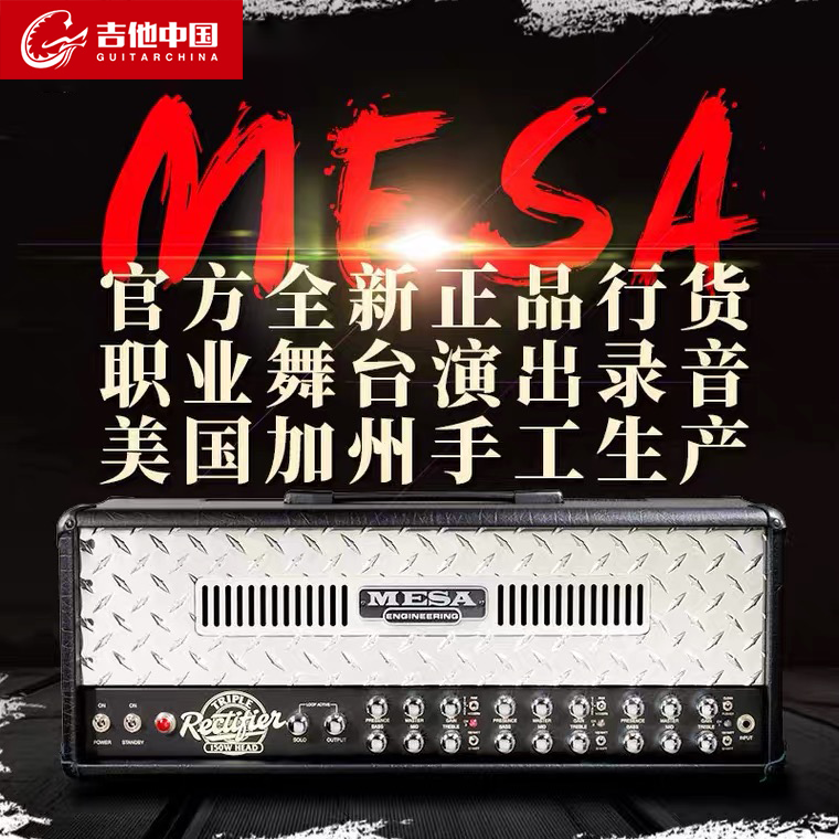 Mesa Boogie electric guitar MK25 Dual Triple Rectifier rectified series box head box