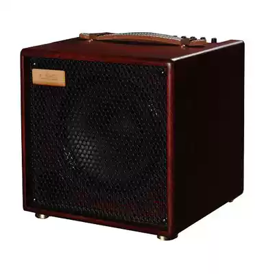 Lisun LSM Free Man 100 I Acoustic Guitar Acoustic Guitar Speaker