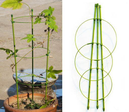 Gardening supplies Liana climbing pergola flower bracket Gardening iron ring flower pillar plant bracket Seasonal climbing pergola