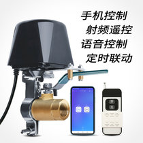 wifi manipulator wireless remote control electric hydrosphere valve switch mobile phone app remote smart voice controller