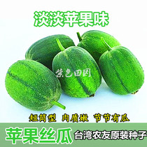 Apple loofah seeds Taiwan farmers meat loofah spring and autumn cultivation high-yield cylinder fruit loofah seedlings