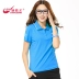 City Demei 2018 hè sản phẩm mới Áo thun nam kéo cotton thể thao Áo thun kinh doanh đi lại áo polo thông thường Áo polo thể thao