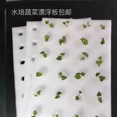 Greenhouse fish pond soilless cultivation equipment Hydroponic vegetables with holes hydroponic floating planting board Water vegetable foam board