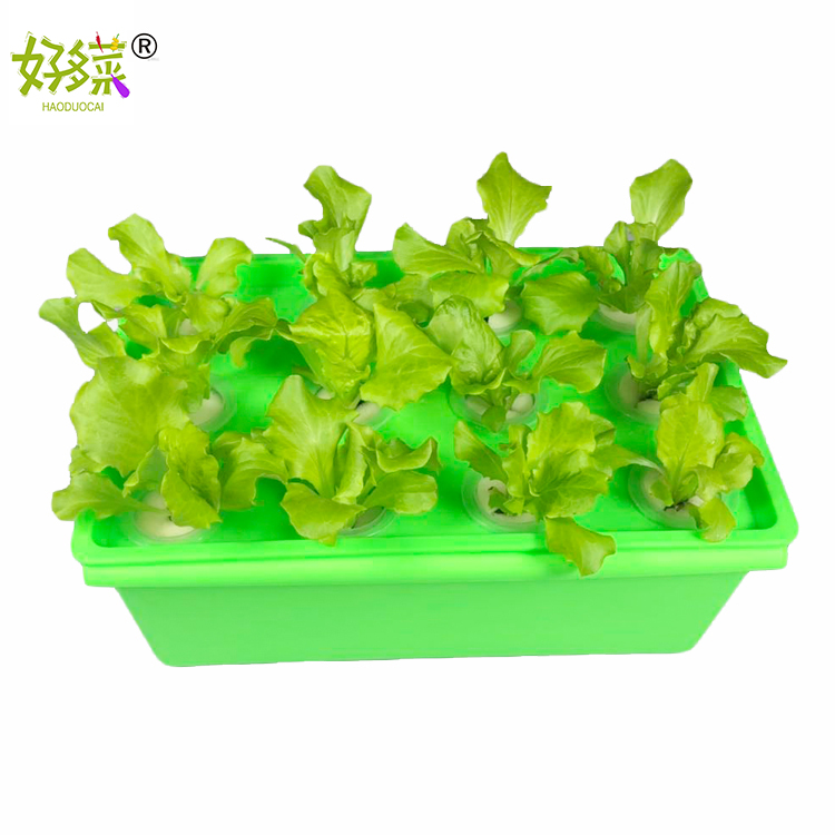 Small box-type planting box without soil cultivation hydropony plowing family vegetable machinery equipment Green plant