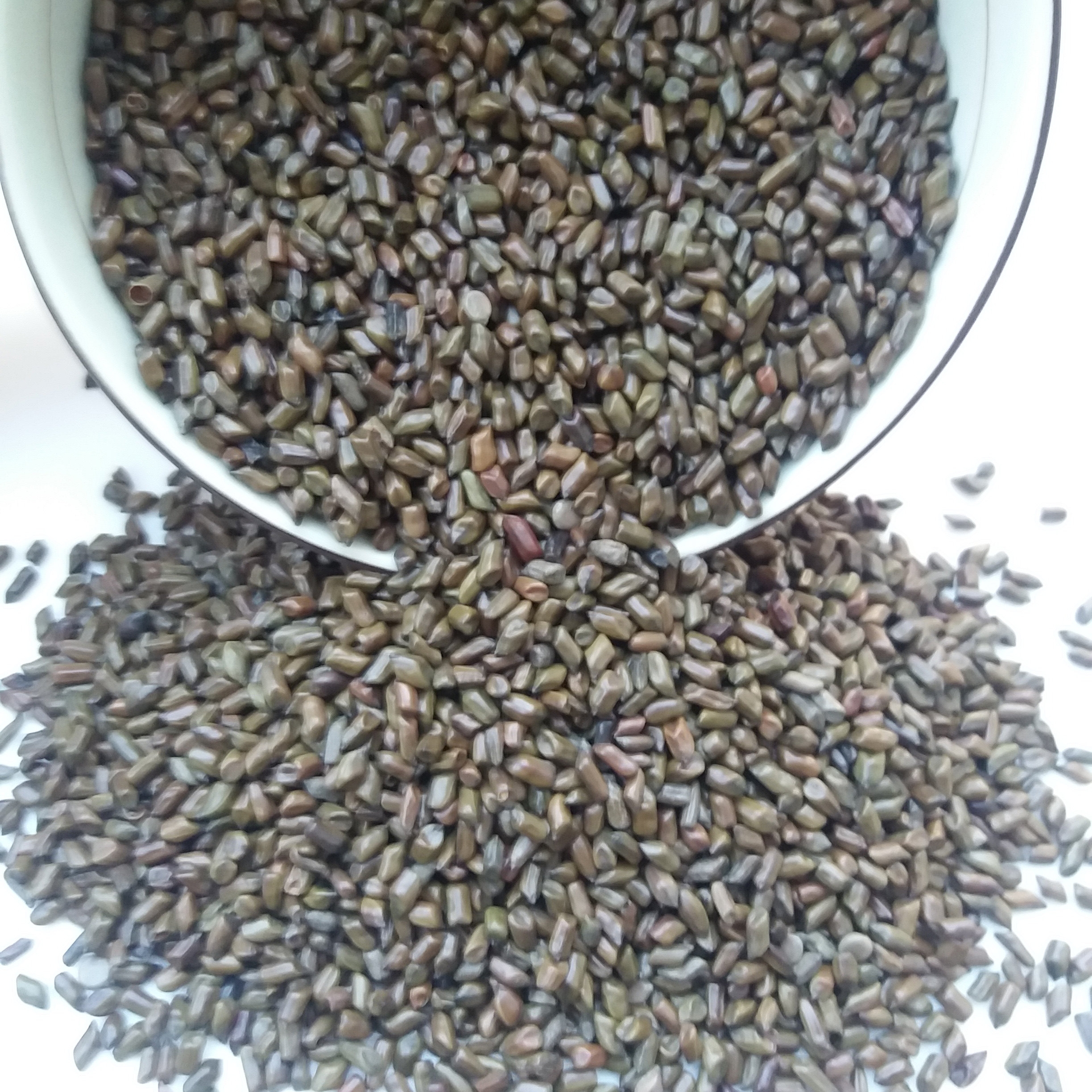 New goods hand-picked cassia seeds without impurities Bulk wild children's sand pool sand Toy sand Cassia pillow core