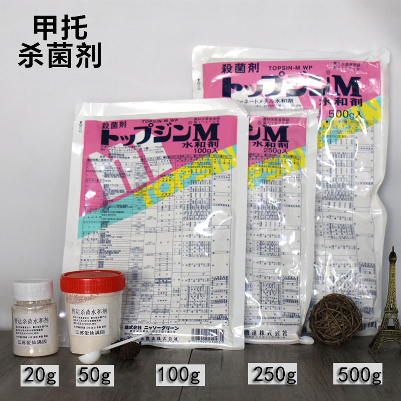 Aixin Man Garden Japanese native Cao Da Water and agent Black Powder Nucleus Black Spot