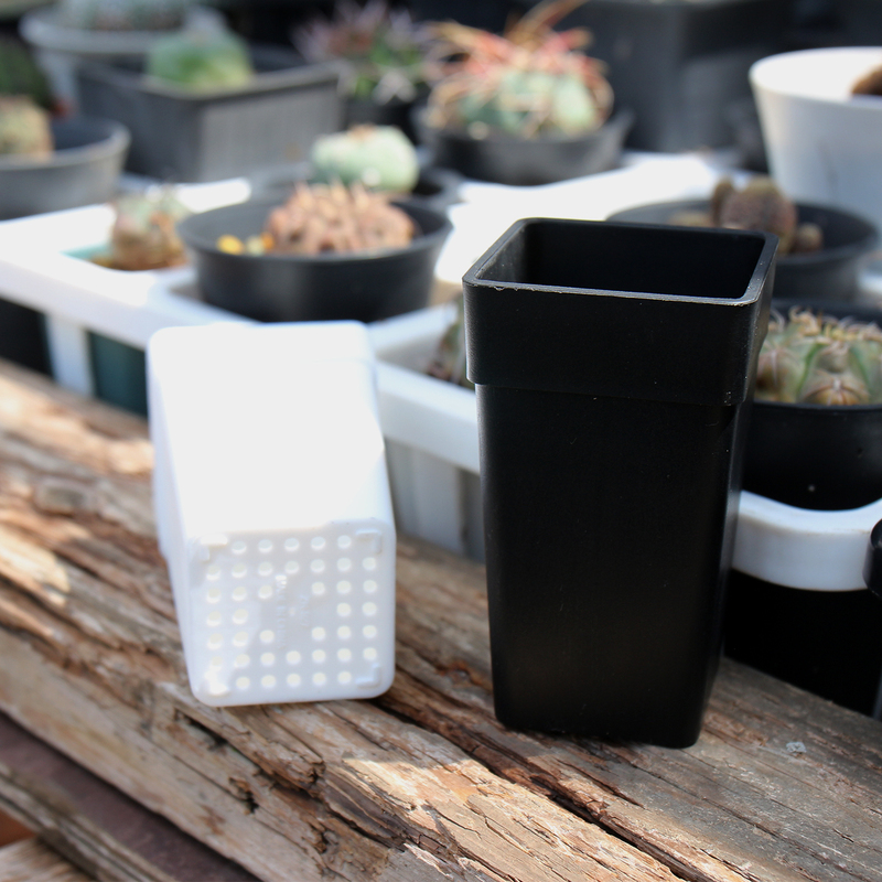Black and White Resin Square Pot for Lithops and Echeveria, Thick Minimalist Mini Flower Pot Set Black and White Resin Square Pot for Lithops and Echeveria, Thick Minimalist Mini Flower Pot Set