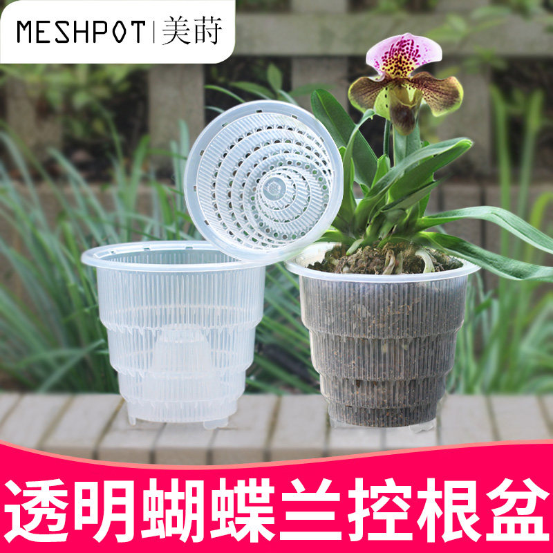 Meidill Root Flower Pot Multi - meat Orchid Butterfly Orchid Breathable Plastic Pot Creative Transparent Dendum Bottom