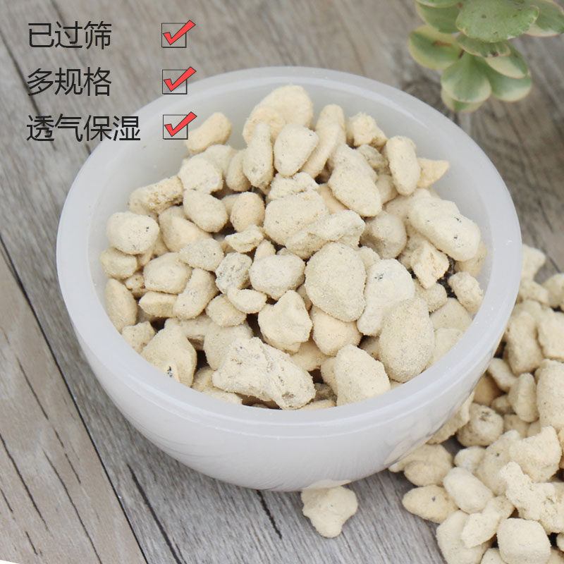 Authentic Japan imports Samo gold-colored orchid breathable stone breathable stone after water