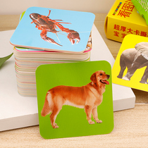  Childrens picture literacy puzzle 0-3 years old baby animal fruit Infant digital literacy cognitive early education card