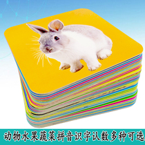  Children cant tear early education cards 0-3 years old baby toys Enlightenment puzzle picture literacy Fruit animal pinyin