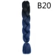B20 Color Research Picture