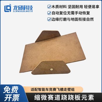 The 21St Intelligent Car Competition Miniature Track Elements Include a Seesaw, a Wall-Climbing Group, and a Ground-Adhering Dragon-Shaped Structure