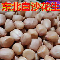 Heilongjiang northeast large peanut kernel 1kg white sand peanut farm self-planted specialty vermicelli Peanut 500g