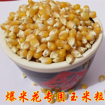 Popcorn Corn Grain Homemade Raw Material Burst Small Dry Corn Microwave Oven Special Bract 1 catty Domestic