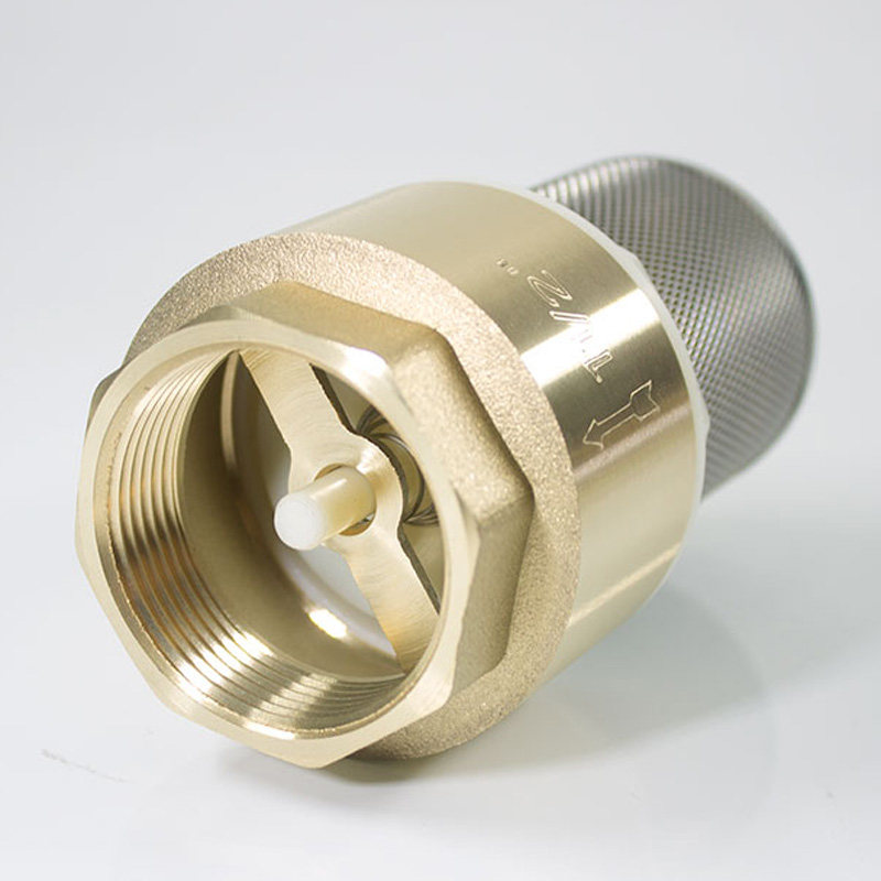 Pump with mesh vertical check bottom valve filter valve DN1532080 4 minutes 6 minutes 1 inches to 4 inches copper body